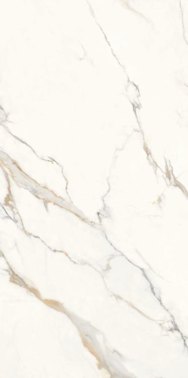 Time Dorado Matte 24 x 48